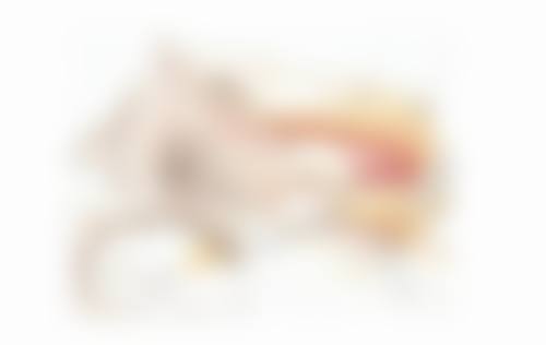 赵慧仁医生简介项目优势