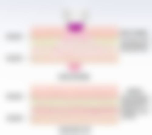 扬州艾菲斯整形医生简介怎么样