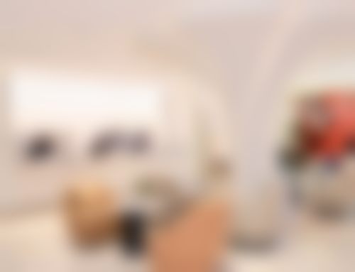 成都晶肤医疗美容连锁(东区旗舰院)资质情况