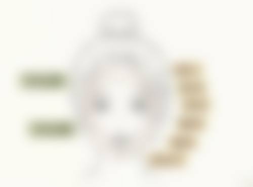 玄炅倍医生项目优势有哪些