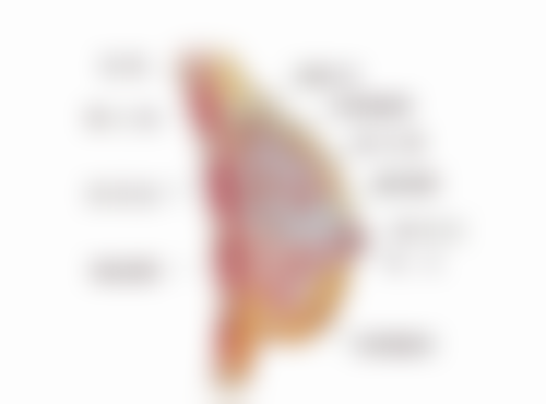 彭华伟医生简介怎么挂号