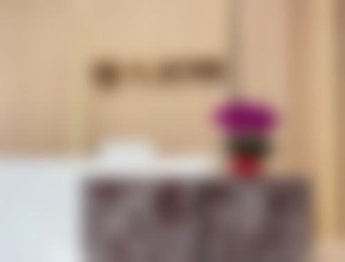 广州丽人医疗美容门诊部价格表