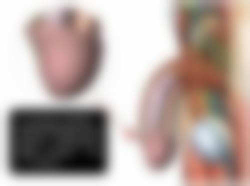 陈春海医生做手术价格