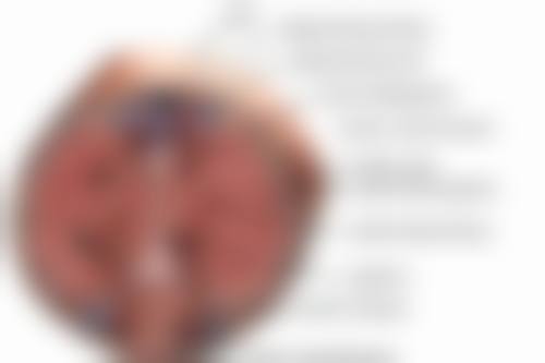 天津市天津医院（整形外科）项目特色