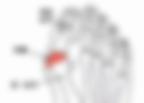 梁丽喆医生怎么挂号