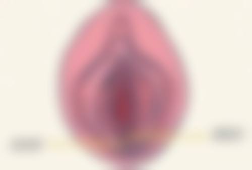 陈瑞娟医生简介:项目优势突出