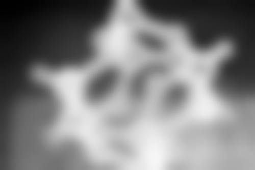 瘦脸针不能吃什么消炎药之头孢菌素类：小心为上