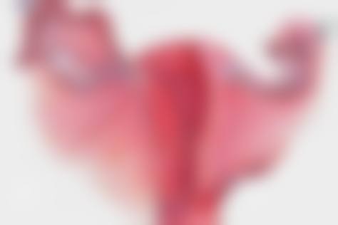 四川成都美容整形医院私密科邓娟娟私密服务价格的透明公正优势