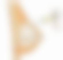 郑娜医生简介项目优势