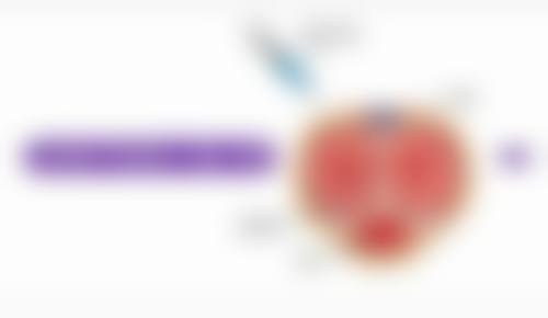 玻尿酸：静态皱纹填充之理想选择