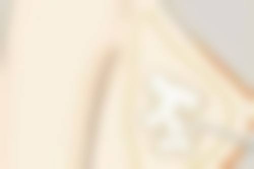 六、日本圣心医疗美容医院怎么样——地址及乘车路线