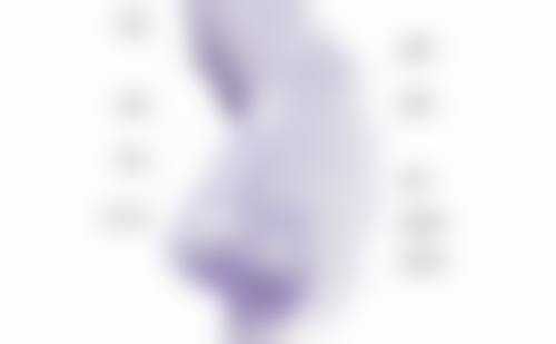 老年人下眼袋大的不良生活习惯影响