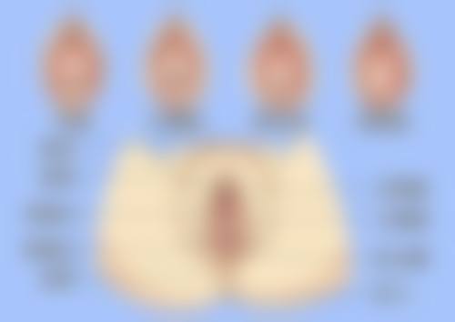 美丽诚可贵，生命价更高