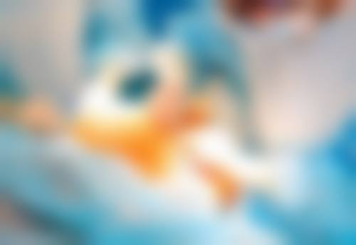 耐心是美丽的终极秘诀