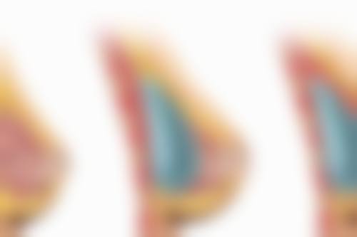 潮州韩美整形医院医生简介