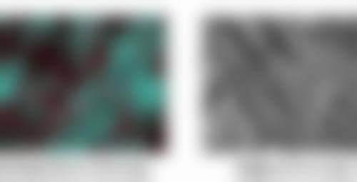 黄梅医生简介做手术价格