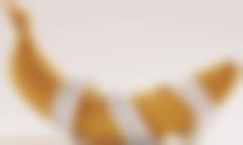 全身麻醉下肋骨隆鼻手术要做多长时间