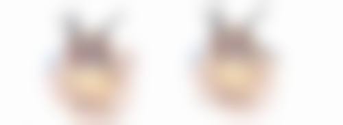 总结：美丽值得等待