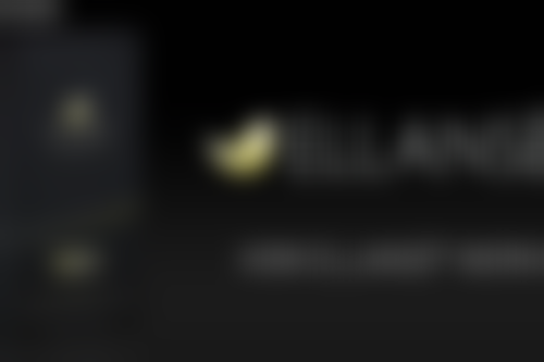 多元选择：其他有效的药物治疗选择