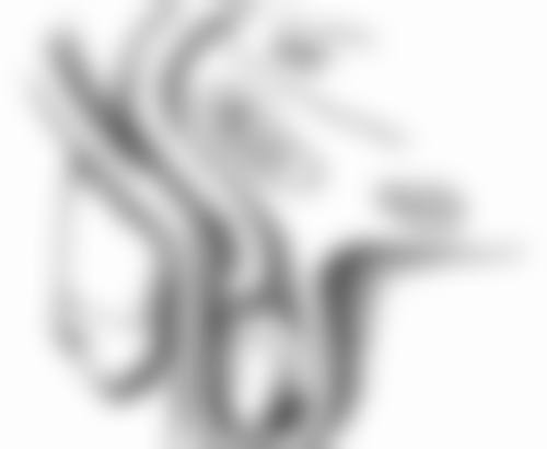 割双眼皮后饮食全指南：蘑菇之外的注意事项