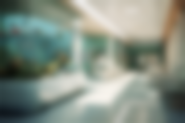 广州市菲思医疗美容门诊部怎么样