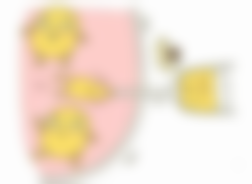 莫梅医生简介项目优势