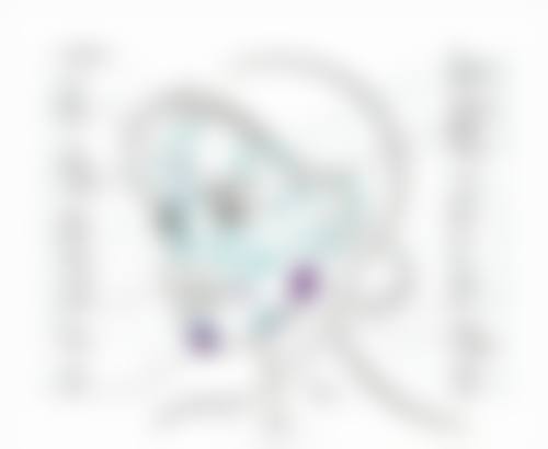 多次自体脂肪填充眼袋能保持多久