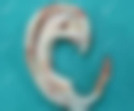 江苏连云港首尔睿熙整形资质