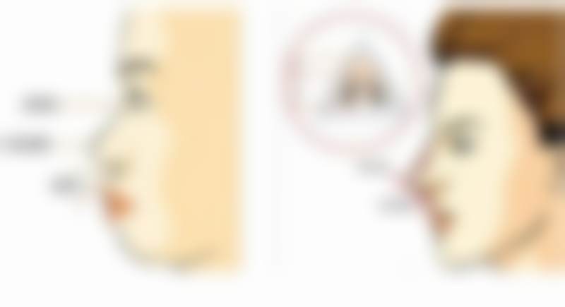 广州高尚医学美容中 心栾翰林2026全新价目表——广州高尚医学美容中 心整形项目介绍