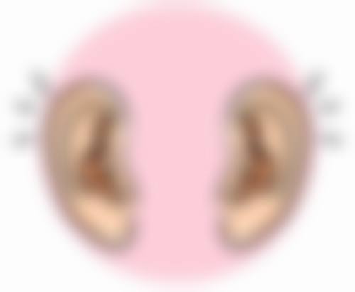 做双眼皮抹什么能消肿：云南白药——传统中药的“跨界尝试”