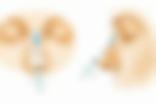 红霉素软膏祛眼袋的副作用解析