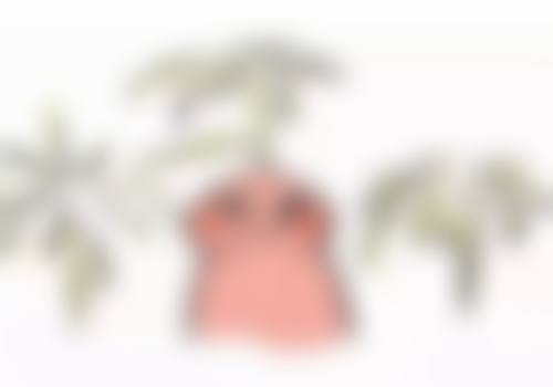 怎么按摩消除眼袋之淋巴引流畅通