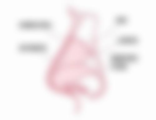 割双眼皮多久能健身——剧烈运动何时解禁?