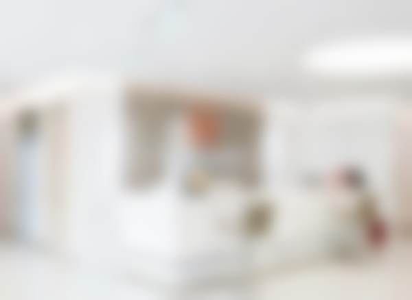 北京禾美嘉医生团队简介