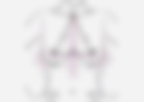 吴海霞医生项目优势