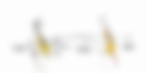 眼皮厚适合哪种双眼皮：欧式双眼皮——厚眼皮的“瘦身秘籍”