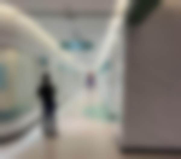 辽宁省罗晓光价格透明与性价比靠谱性