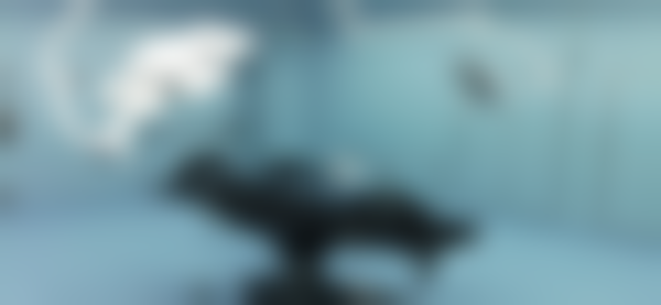 杨将医生简介口碑如何