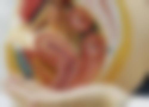 胡瑞芬医生简介口碑如何