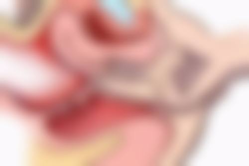 割双眼皮喝豆浆的好处之营养大揭秘