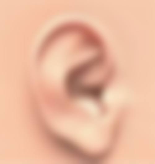 北京中 医 药大学第三附属医院谈生姜敷眼袋的潜在副作用