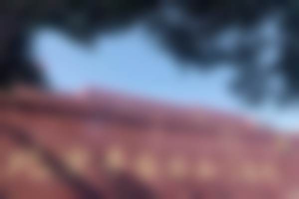 贺立新医生简介项目优势