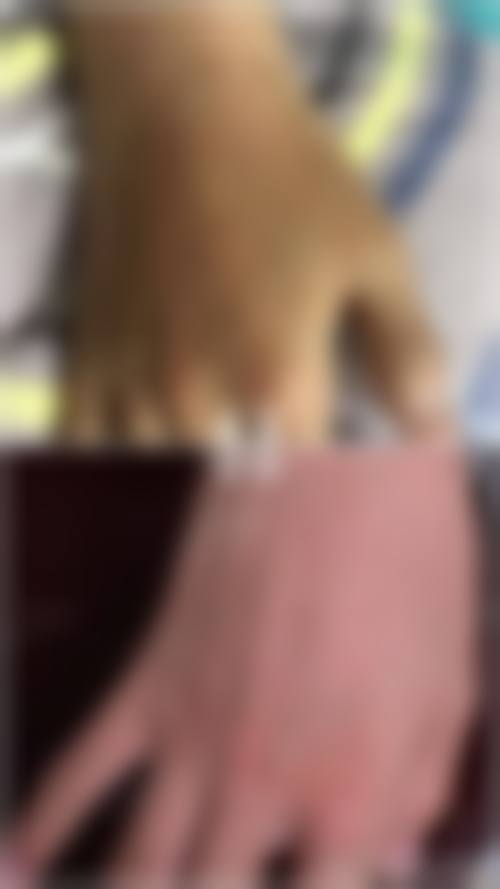 主营业务与业务结构分析