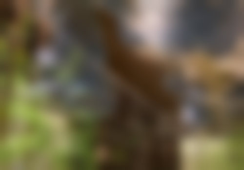 广州宸山医疗美容诊所评价