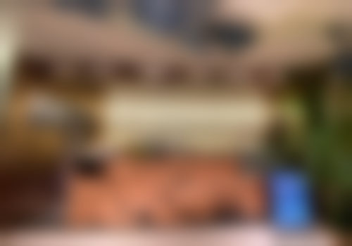 广州宸山医疗美容诊所医生简介