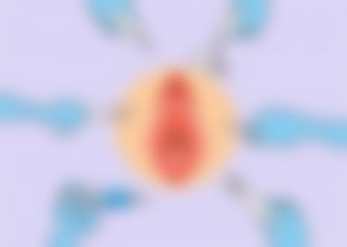 黄惠珊医生简介做手术价格