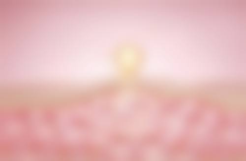 如何选择取出骨粉隆鼻的医院