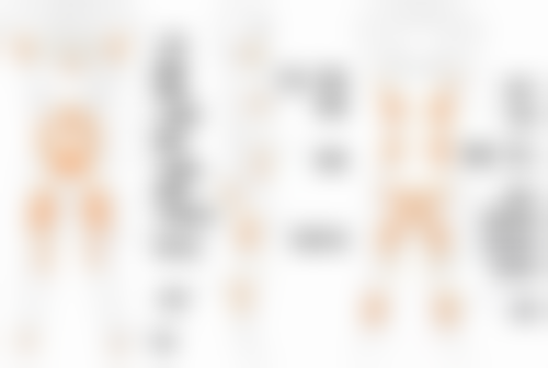 毛艳红医生简介做手术价格