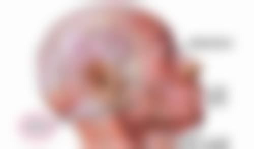 怎么样去除脂肪型眼袋：医院精细方案消除“小枕头”