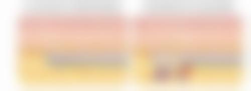 四、山东第二医 科 大学整形外科医院项目特色